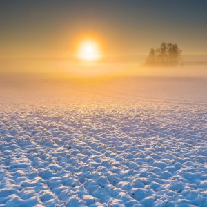 Cold winter morning. Sun is rising and snow on the field
